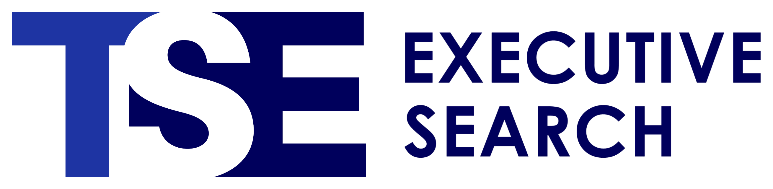 TSE Executive Search